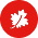 card icon